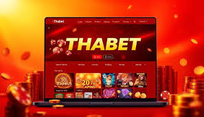 Thabet Platform Guide For Beginners