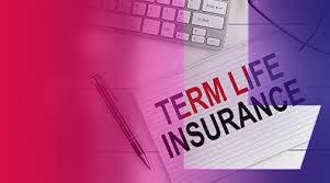 How a Term Insurance Plan Fits Within Your Overall Insurance Policy Strategy